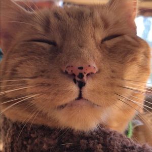 Meet your Posher, Stacia